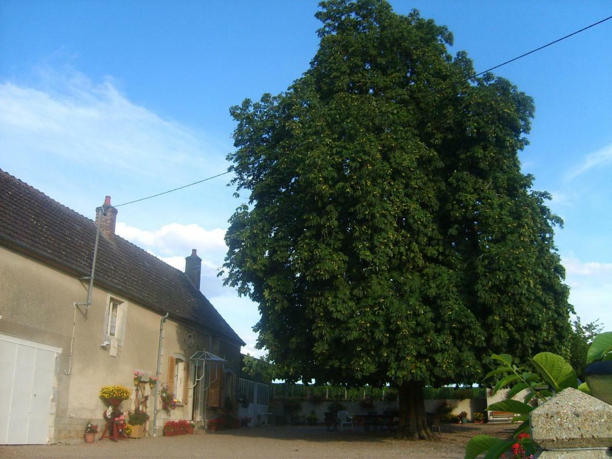 Armalou Bed and Breakfast Pouilly-sur-Loire Eksteriør billede